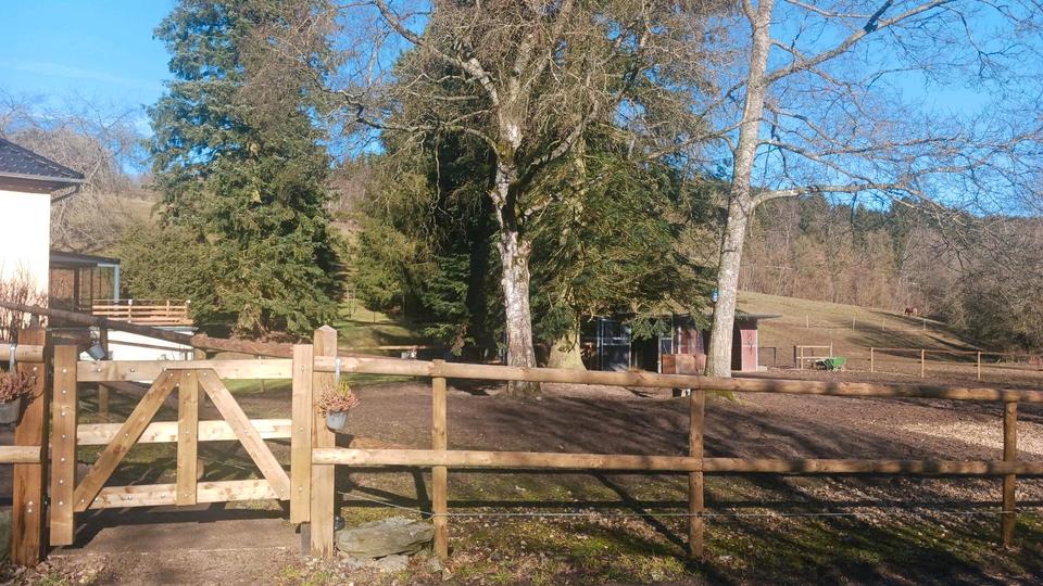 Bauernhaus, Landhaus Hellenthal - 8 Zimmer, 174 m&sup2;, 599.000&euro; | Angebot:26169890