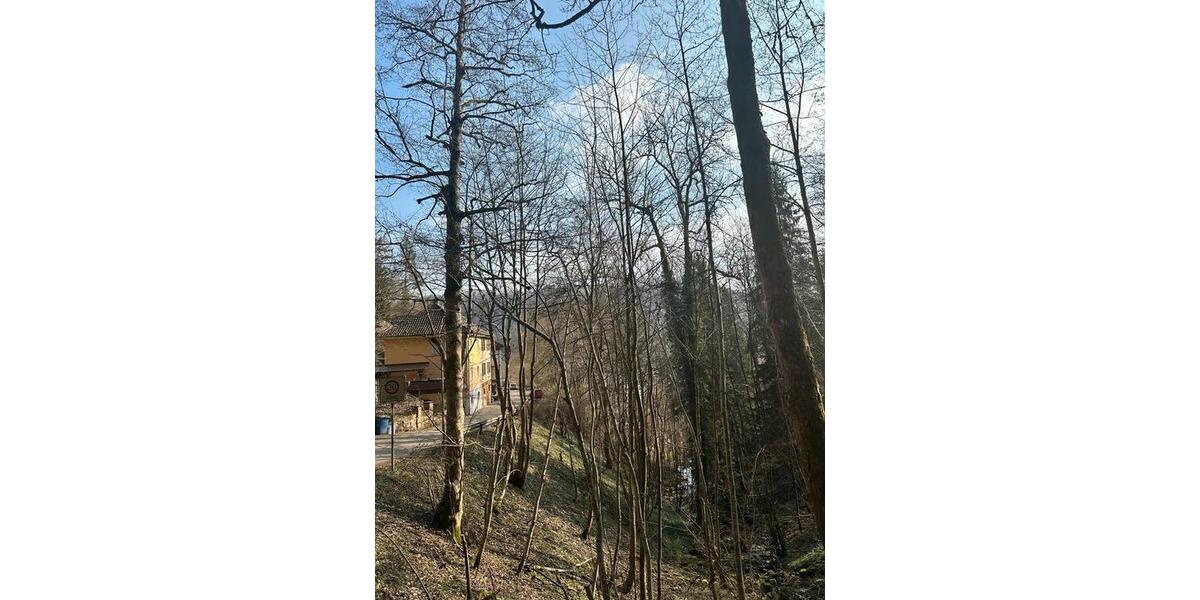 Doppelhaushälfte Oberndorf am Neckar - 5 Zimmer, 110 m&sup2;, 279.000&euro; | Angebot:26221642