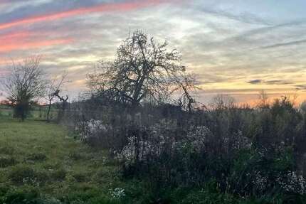 Grundstück zu verkaufen in Aschaffenburg 375.000 € 399 m² zimmer