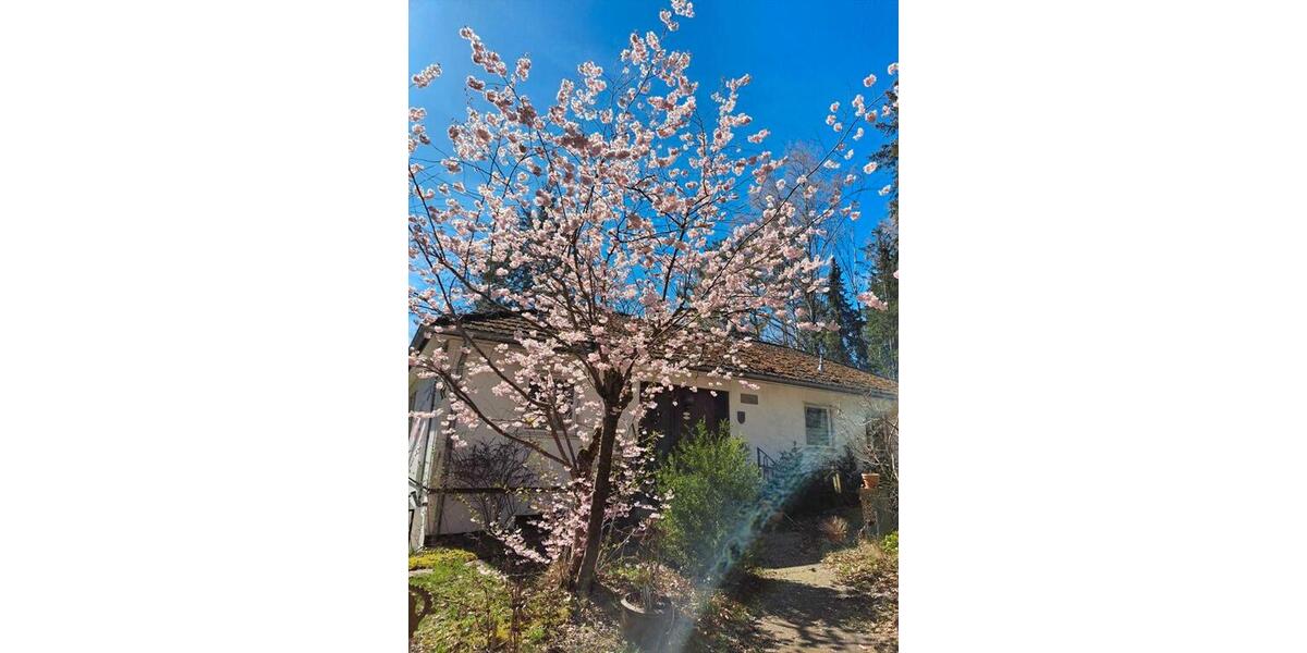 Bungalow Suderburg - 5 Zimmer, 130 m&sup2;, 238.000&euro; | Angebot:27271657