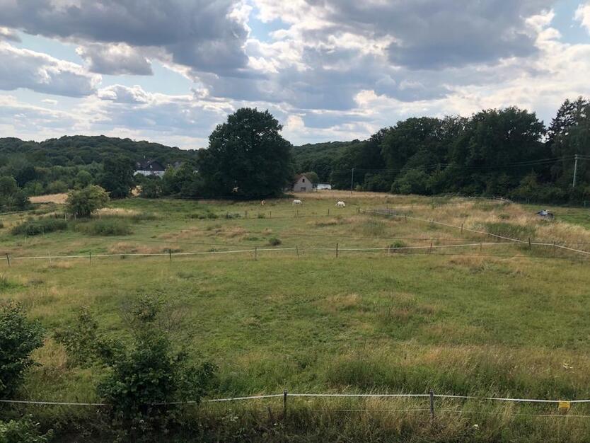 Doppelhaushälfte in Bochum-Stiepel zu vermieten