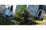 Einfamilienhaus Schrobenhausen - 749.000&euro; | Angebot:27030512