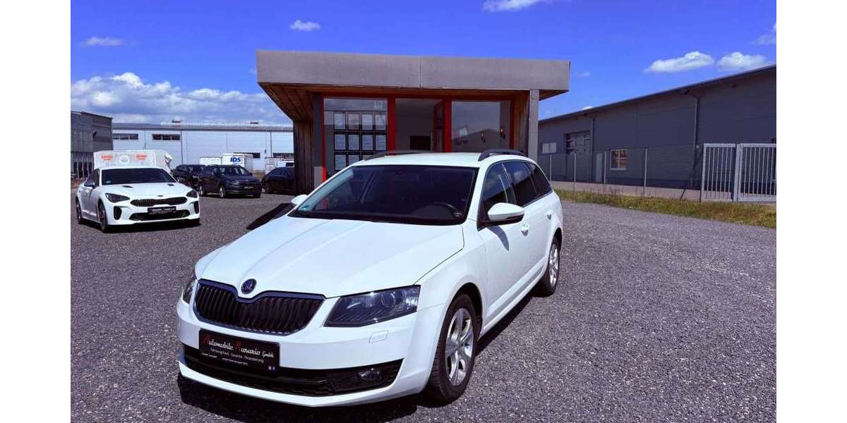 Skoda Octavia 110.000 km 9.999 &euro; Salz 97616