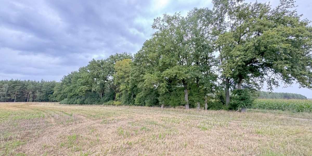 Grundstück Groß Gottschow Groß Gottschow - 75.000&euro; | Angebot:22731682