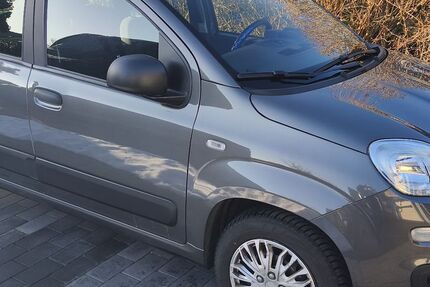 Fiat Panda 37.500 km 7.999 &euro; Suhlendorf 29562