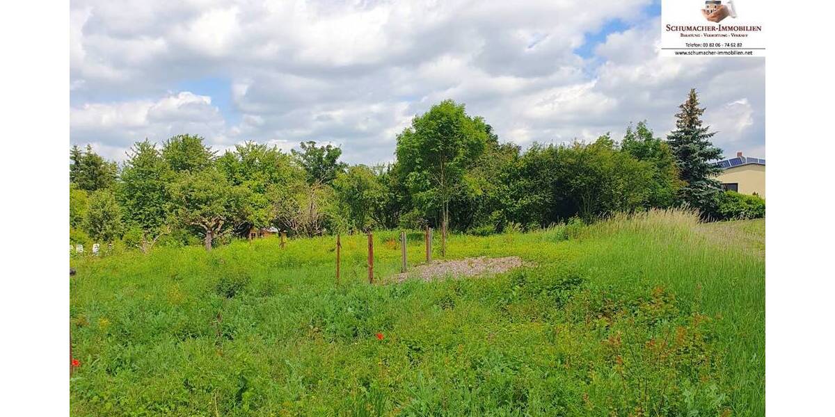 Grundstück Benndorf - 78.000&euro; | Angebot:20284206