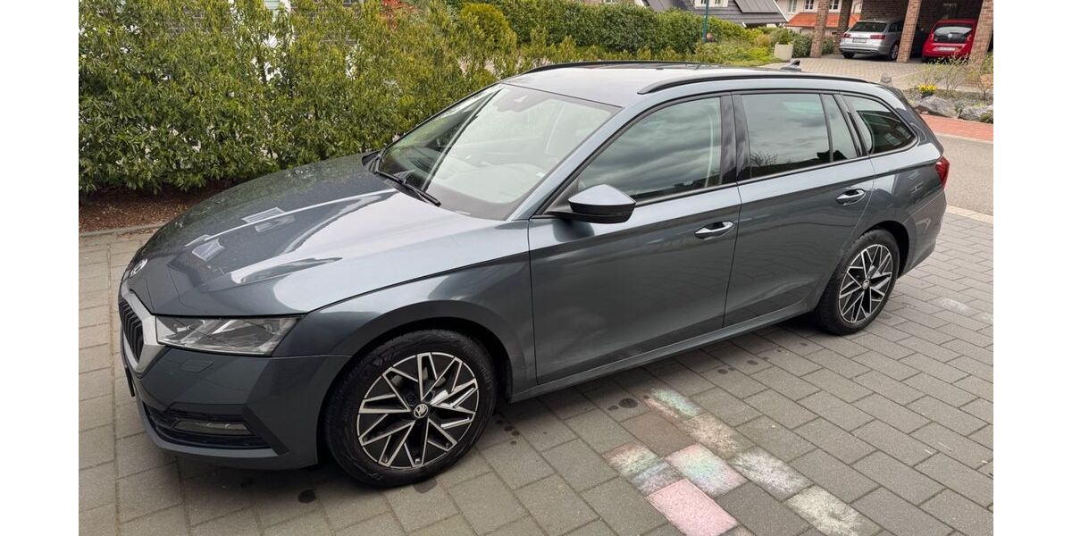 Skoda Octavia 96.500 km 19.990 &euro; Uelsen 49843