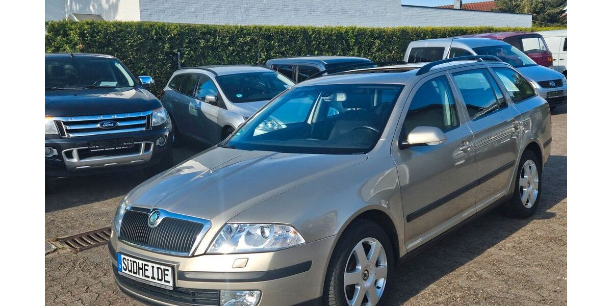 Skoda Octavia 172.000 km 3.650 &euro; Munster 29633