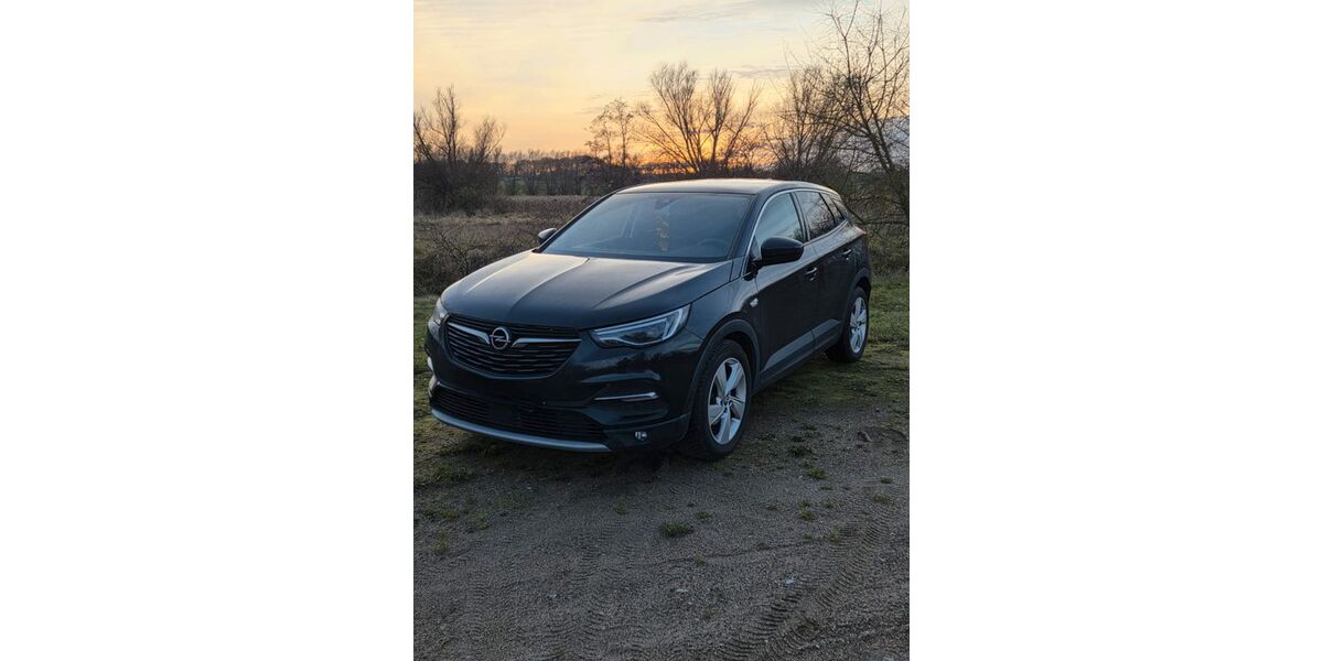 Opel Grandland (X) 87.000 km 18.250 &euro; Warnow 23936