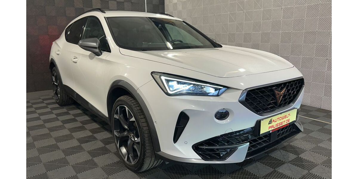 Cupra Formentor 69.067 km 28.640 &euro; Horb am Neckar 72160