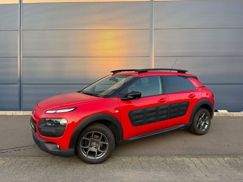 C4 Cactus
