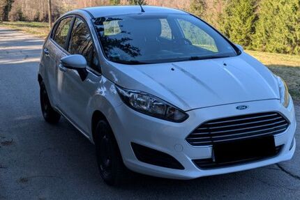 Ford Fiesta 176.781 km 3.550 &euro; Lohberg 93470