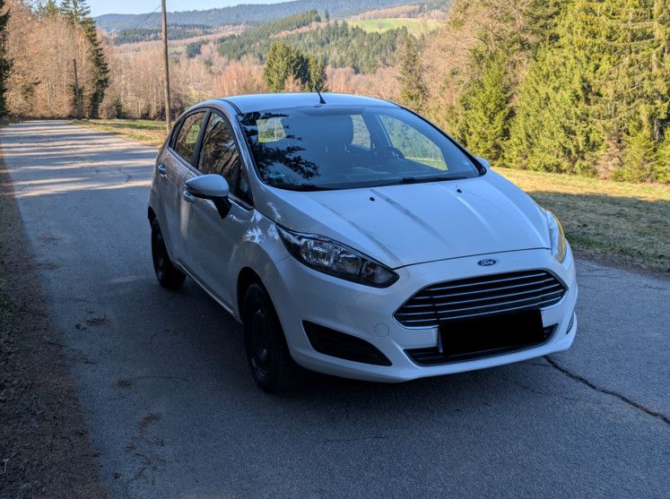Ford Fiesta 176.781 km 3.550 &euro; Lohberg 93470