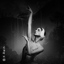 Grand Classic Ballet - Schwanensee - Jenseits der Bühne mit live Streichquartett 28.03.2026 Maritim Hotel am Schlossgarten Fulda