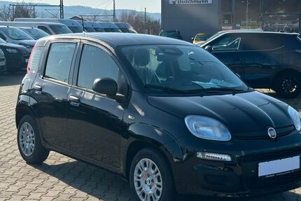 Fiat Panda 6.000 km 17.699 &euro; Trier 54294