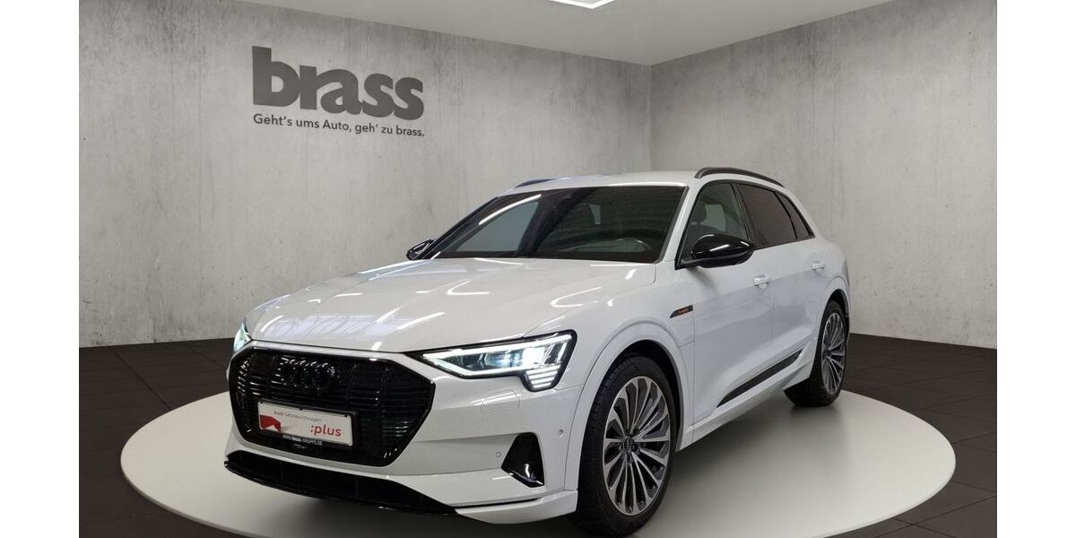 Audi e-tron 100.189 km 35.650 &euro; Dietzenbach 63128