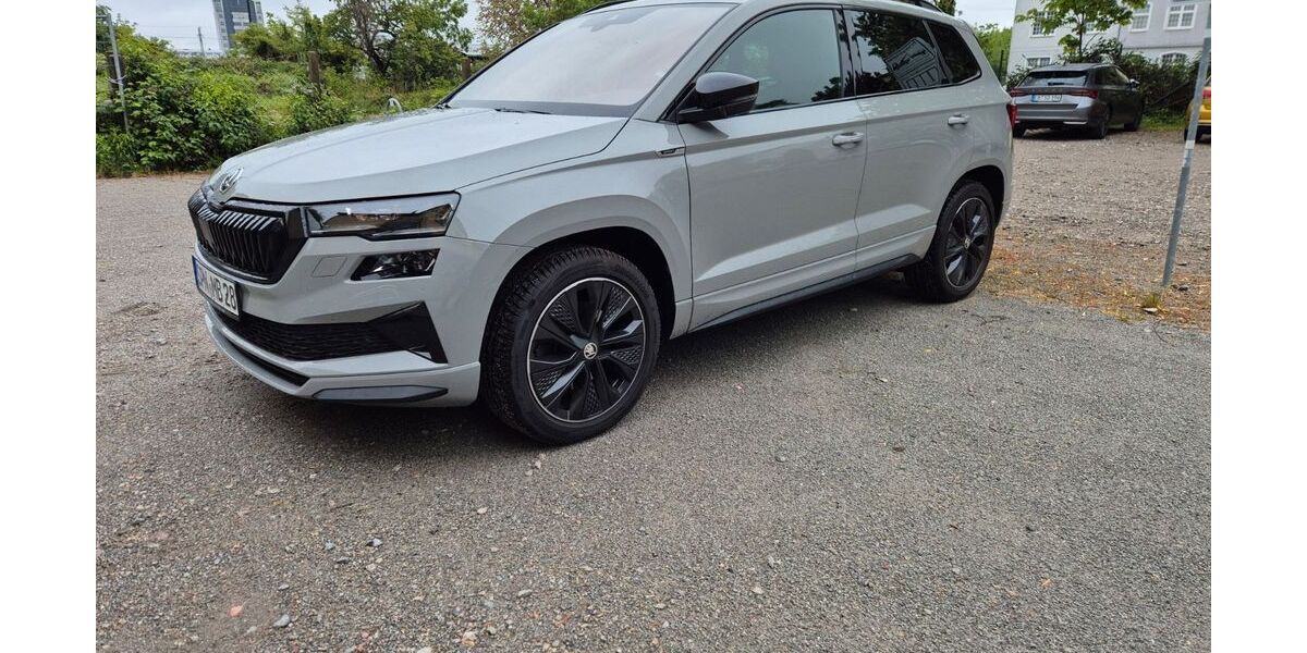 Skoda Karoq 82.000 km 25.499 &euro; Forst 03149