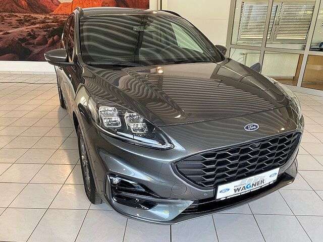 Kuga
