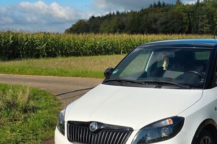 Skoda Fabia 168.000 km 4.400 € Hohenstein 72531