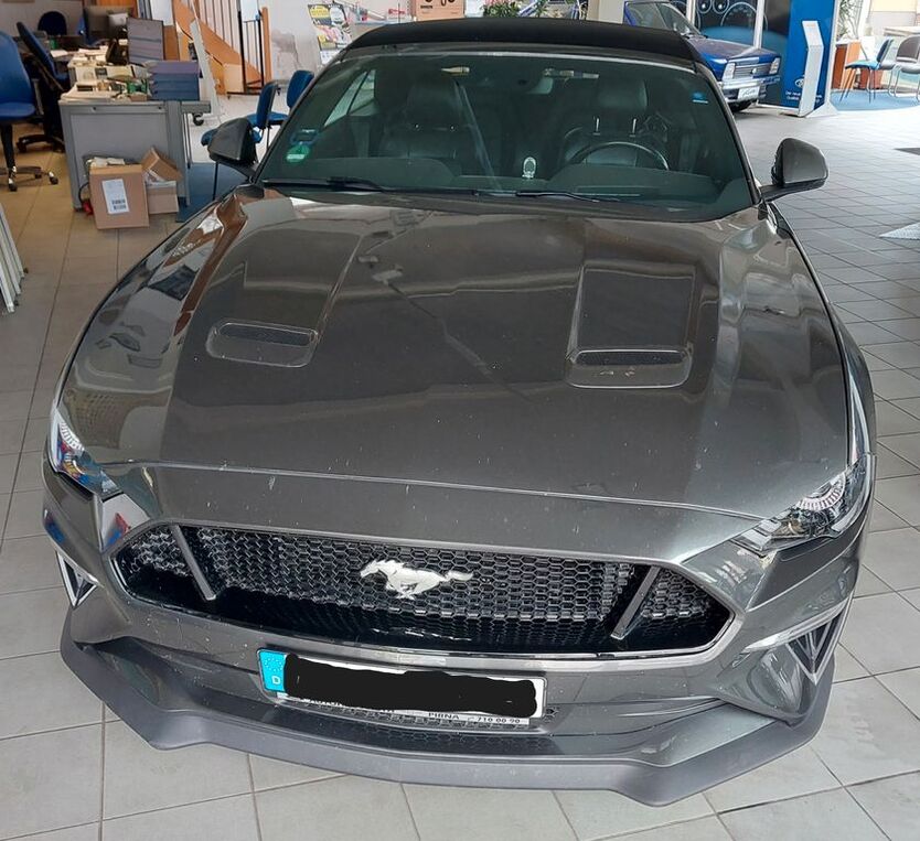 Mustang