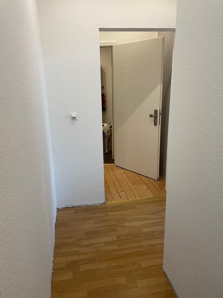 Hübsche 1-Raum Wohnung im Südviertel