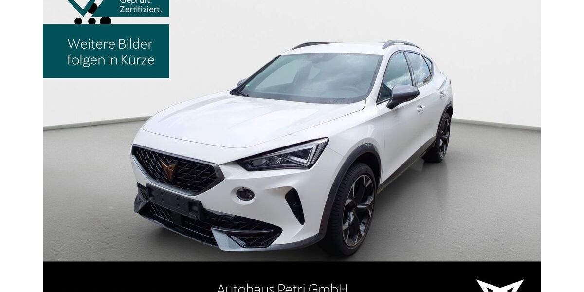 Cupra Formentor 20.249 km 24.840 &euro; Hofheim-Diedenbergen 65719
