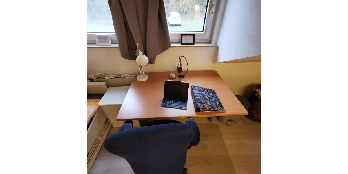 Dachgeschoßwohnung Siegen Weidenau - 1 Zimmer, 23 m&sup2;, 300&euro; | Angebot:25397361