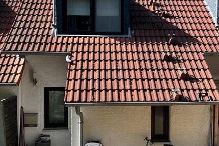 Reihenhaus im Grünen Klima Kamin neue Heizung 3 zimmer