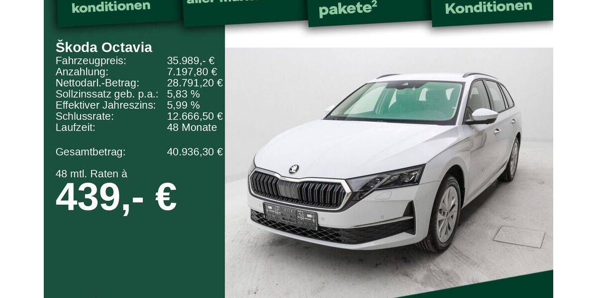 Skoda Octavia 5.000 km 35.989 € Berlin 13088