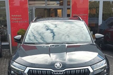 Skoda Karoq 54.260 km 24.890 &euro; Bad Neuenahr 53474
