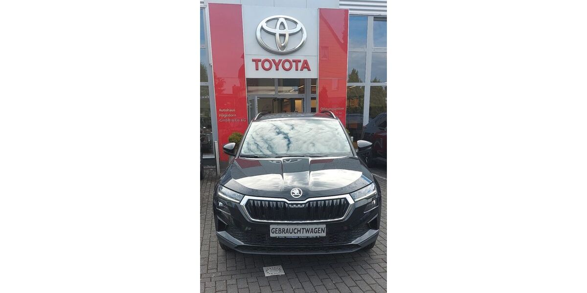 Skoda Karoq 54.260 km 24.890 &euro; Bad Neuenahr 53474