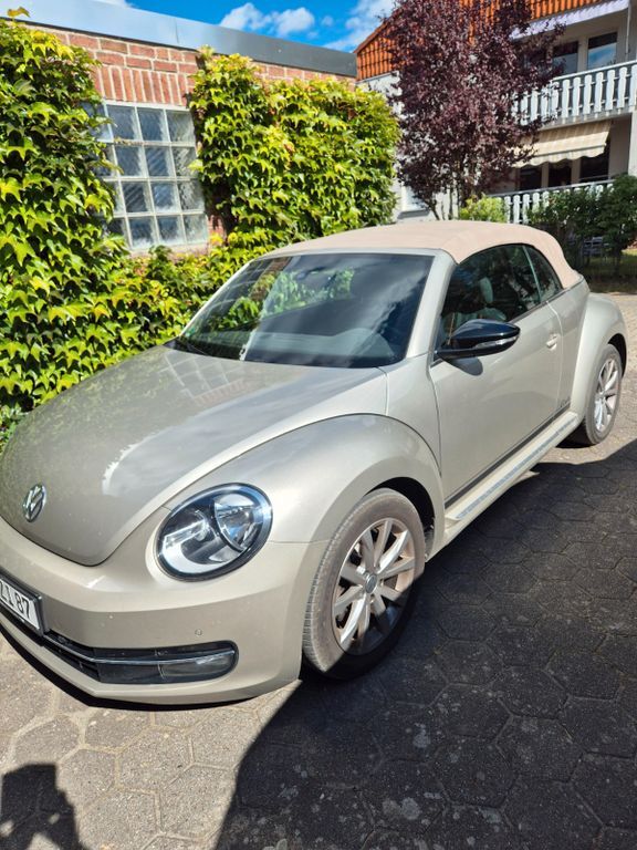 Beetle