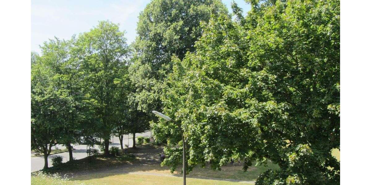 Etagenwohnung Alfter / Bonn Oedekoven - 2 Zimmer, 57 m&sup2;, 239.000&euro; | Angebot:25897493