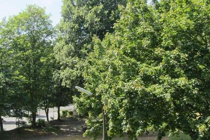 Wohnung Alfter / Bonn Oedekoven - 2 Zimmer, 57 m&sup2;, 239.000&euro; | Angebot:25897493