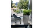 Einfamilienhaus Jünkerath - 785.000&euro; | Angebot:26826229