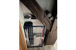 Etagenwohnung Rostock Alt Bartelsdorf - 1 Zimmer, 15 m&sup2;, 266&euro; | Angebot:26408526