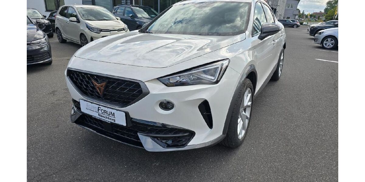 Cupra Formentor 38.361 km 24.750 &euro; Münchberg 95213