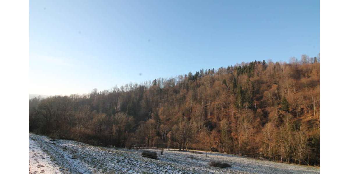 Grundstück Obernzell - 356.840&euro; | Angebot:14716287