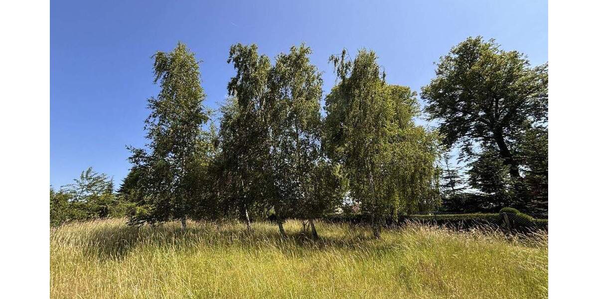 Grundstück Badow Badow - 55.000&euro; | Angebot:26820708