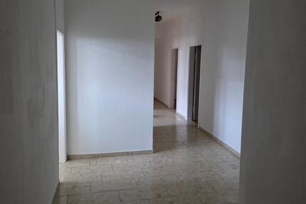 3 - Zimmer Wohnung - Miete
