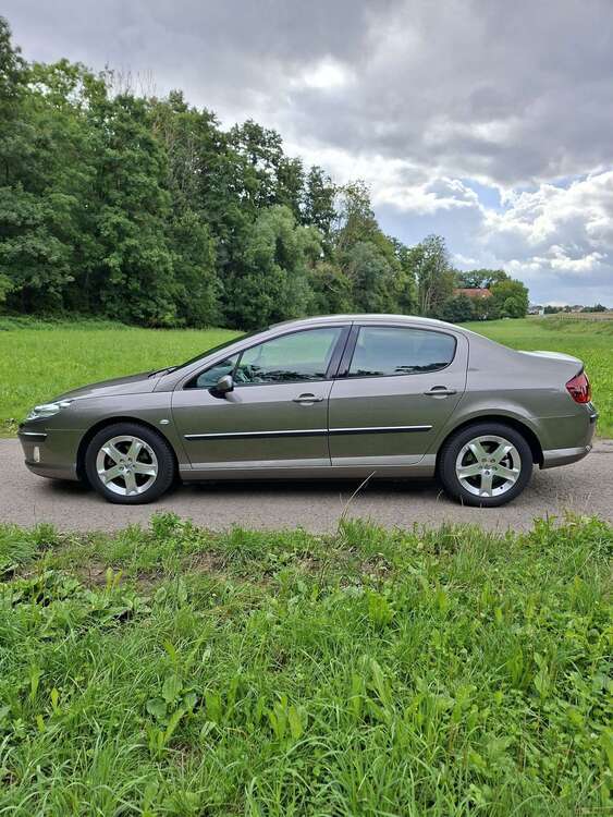 407