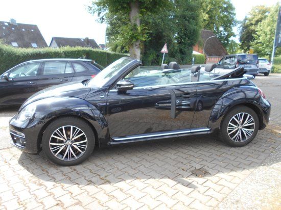 Beetle