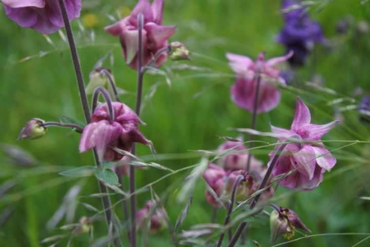 Einfamilienhaus Wutha-Farnroda Farnroda - 6 Zimmer, 164 m&sup2;, 229.000&euro; | Angebot:25376057