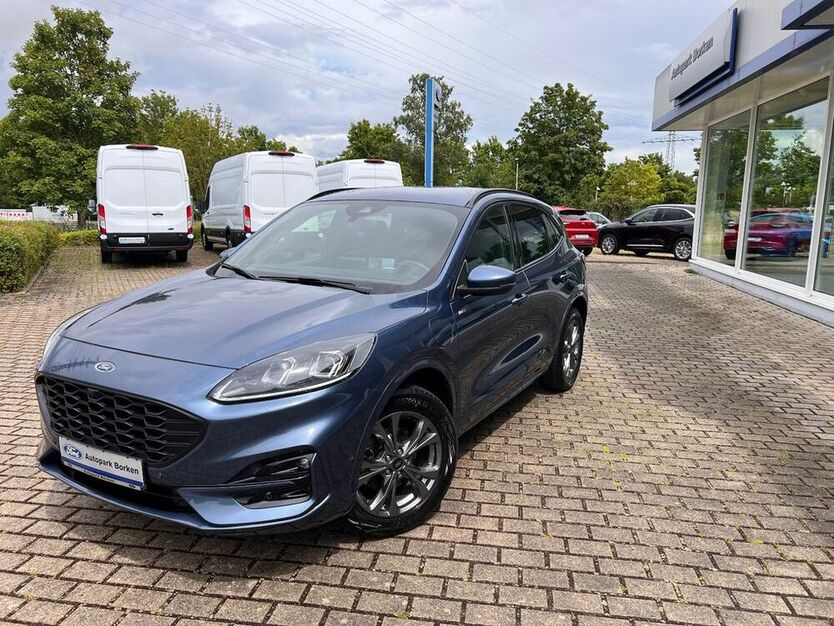 Kuga