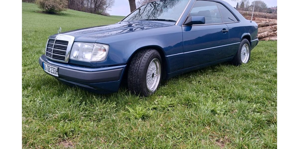 Mercedes-Benz 230 226.000 km 12.400 &euro; Buch 89290