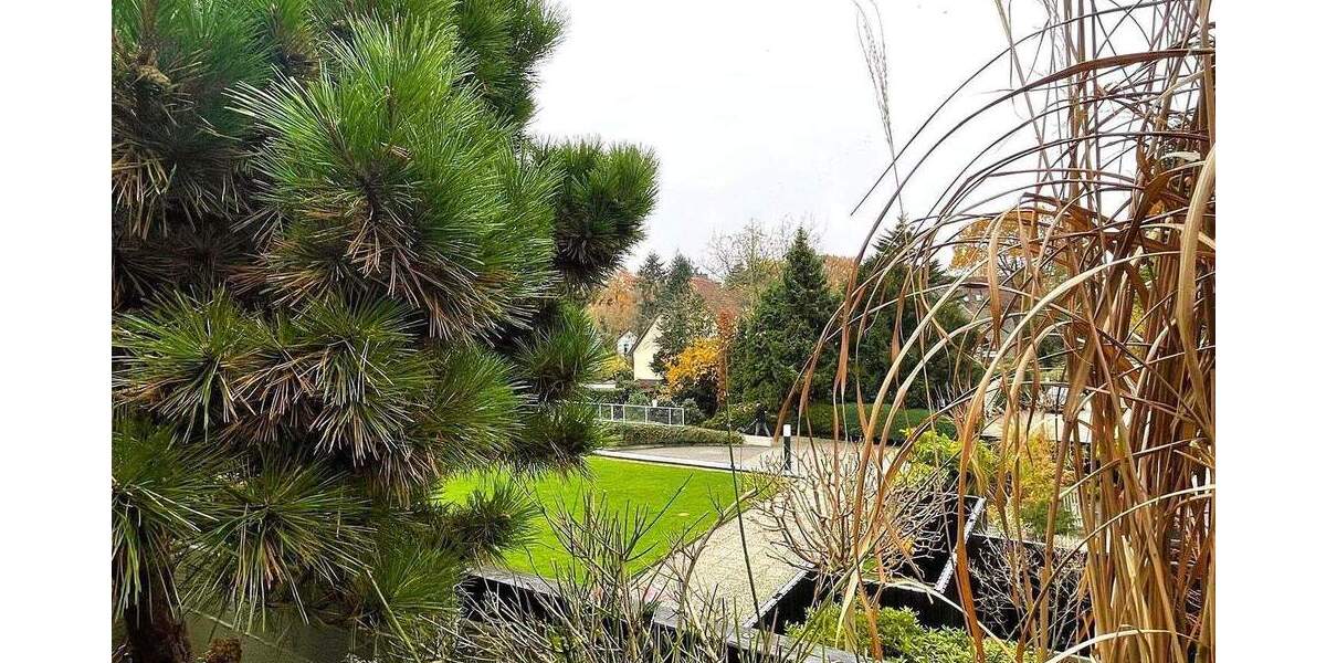 Terrassenwohnung Dreieich Dreieichenhain - 2 Zimmer, 118 m&sup2;, 449.000&euro; | Angebot:25782945