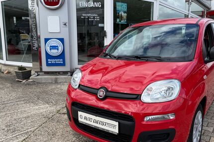 Fiat Panda 20.650 km 8.990 &euro; Borken (Hessen) 34582