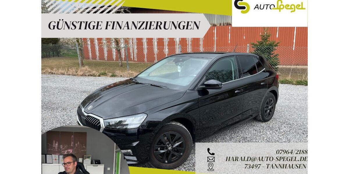 Skoda Fabia 23.042 km 16.390 &euro; Tannhausen 73497