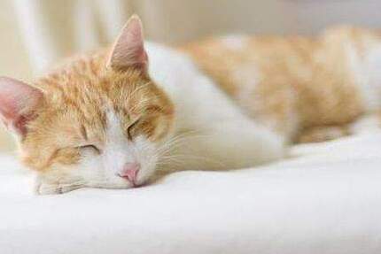 Durchstarten in 2026 :)) 1 zimmer