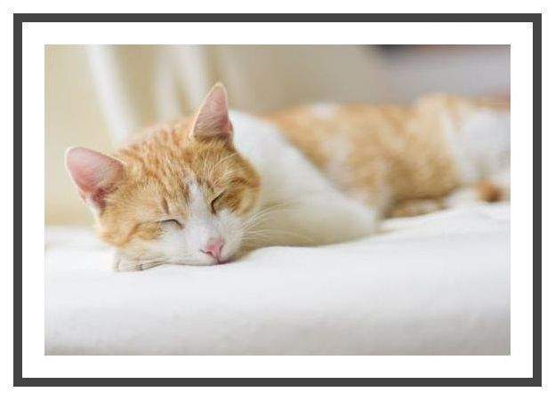 Durchstarten in 2026 :)) 1 zimmer